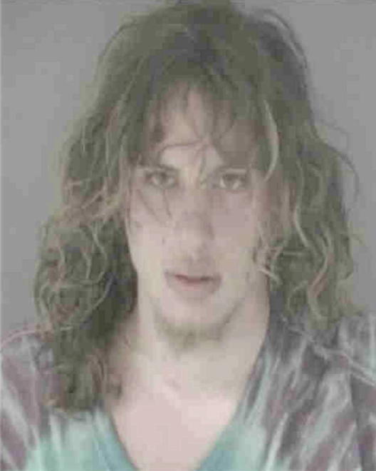 NEALY, CHRISTOPHER BRENT - Peoria County, IL