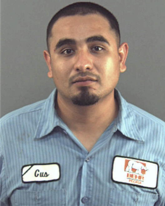 MEJIA, PIEDAD ROGER - Peoria County, IL