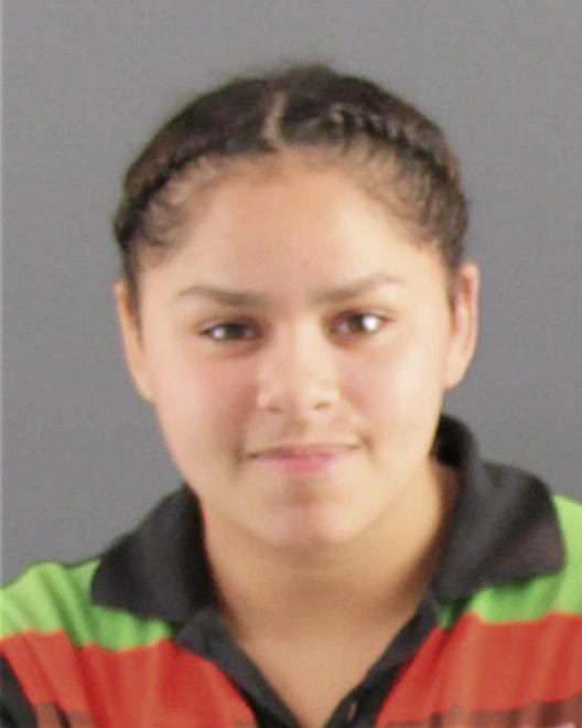 LOWANDE, TORIONNA L - Peoria County, IL