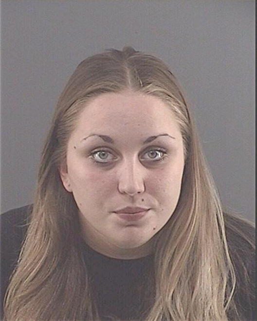 HORAN, MICHELLE NICOLE - Peoria County, IL
