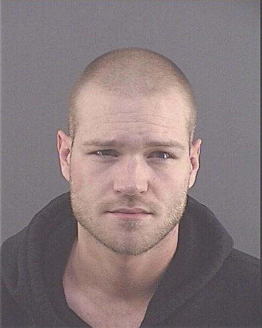 WESTHAFER, BRANDON J - Peoria County, IL
