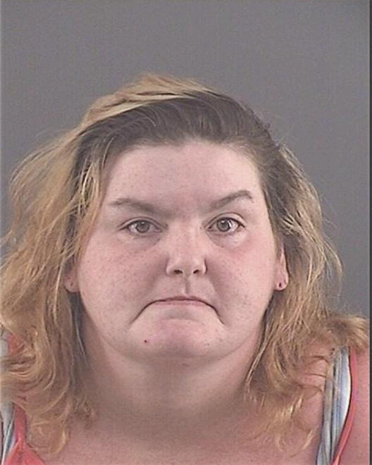 FIELDS, STACEY LEE - Peoria County, IL