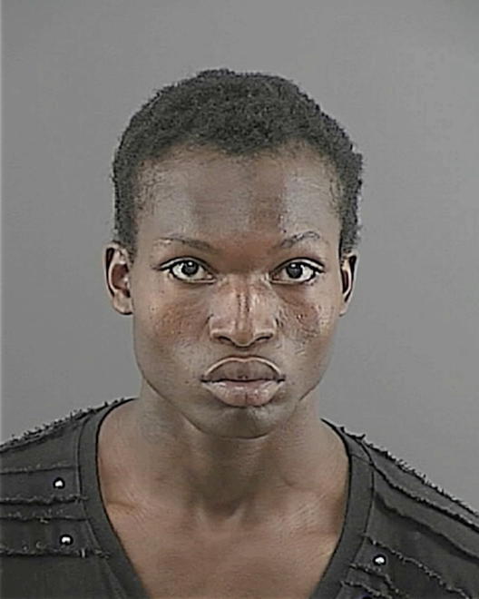MCGEE, DARNELL MAURICE - Peoria County, IL