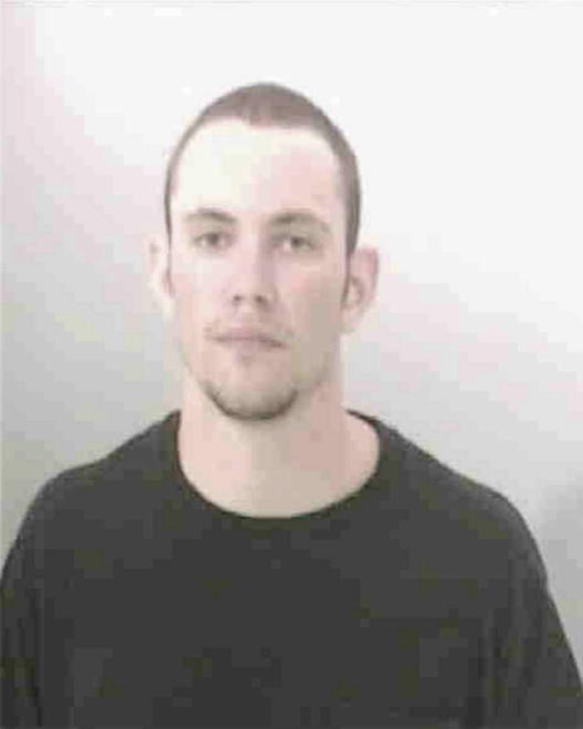 LARSON, TROY JOSEPH - Peoria County, IL