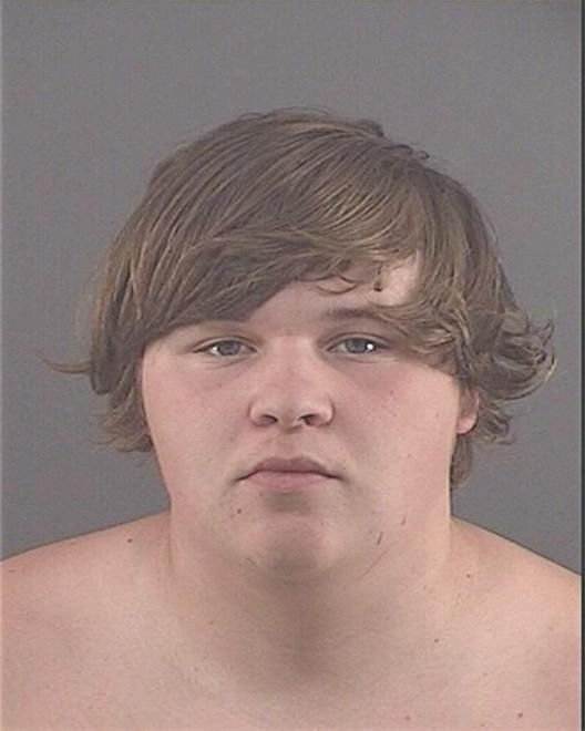 WOLF, TAYLOR A - Peoria County, IL