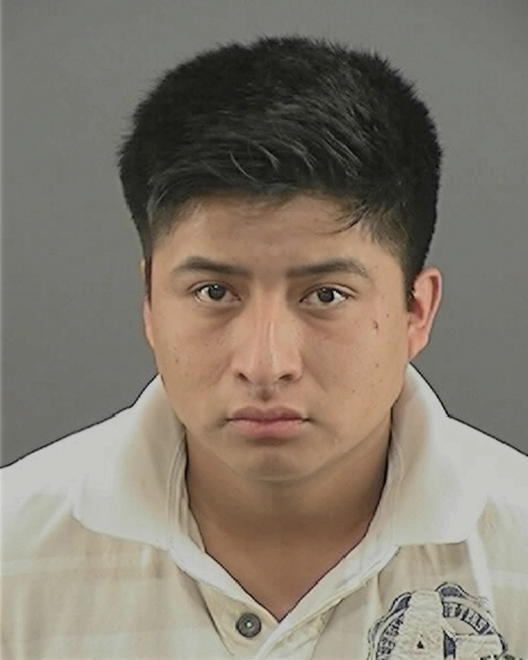 AMBROS, DAVID SANTOS - Peoria County, IL
