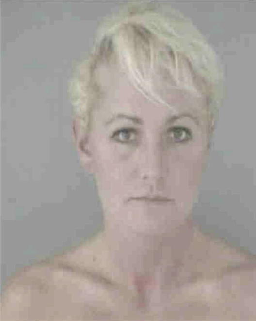 ANDERSON, MICHELLE RENEE - Peoria County, IL