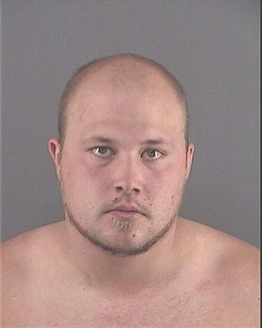 PETERSON, SETH ANDREW - Peoria County, IL
