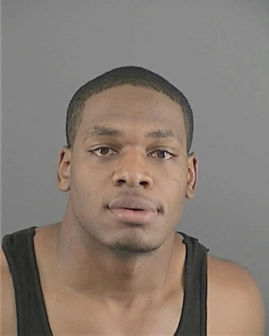 BRADLEY, TERRENCE MATTHEW - Peoria County, IL