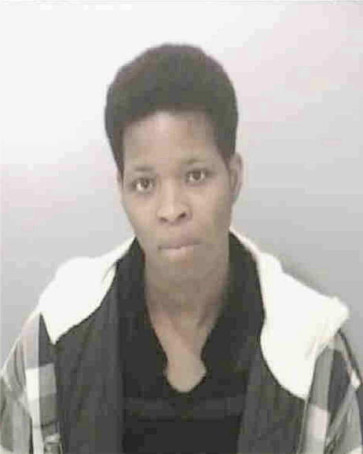 WILSON, TAMMY RENEE - Peoria County, IL