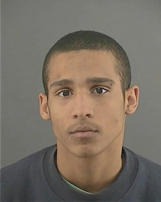 PAGE, MARCUS DAMONE - Peoria County, IL