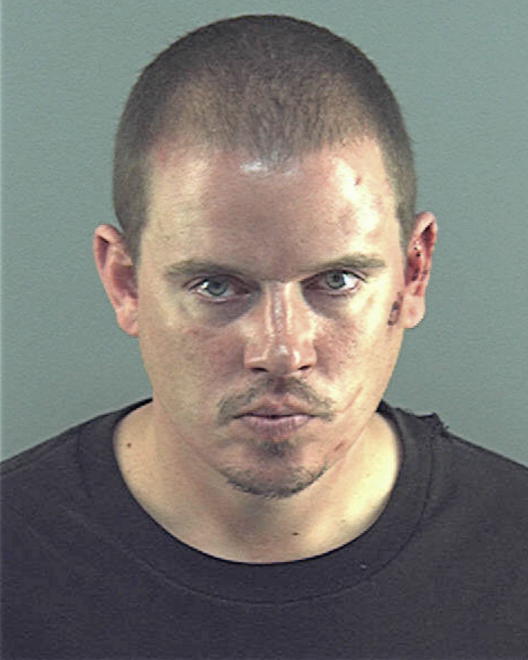 TWOMEY, DENNIS P - Peoria County, IL