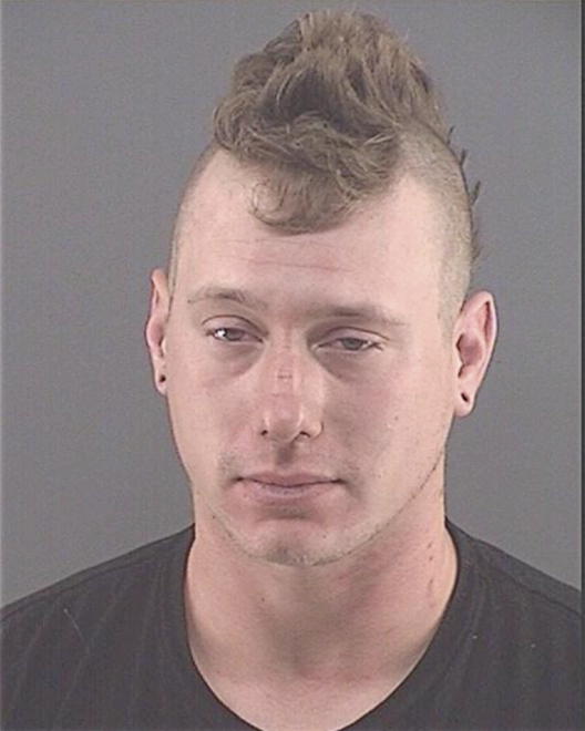 VANZANT, ANTHONY M - Peoria County, IL