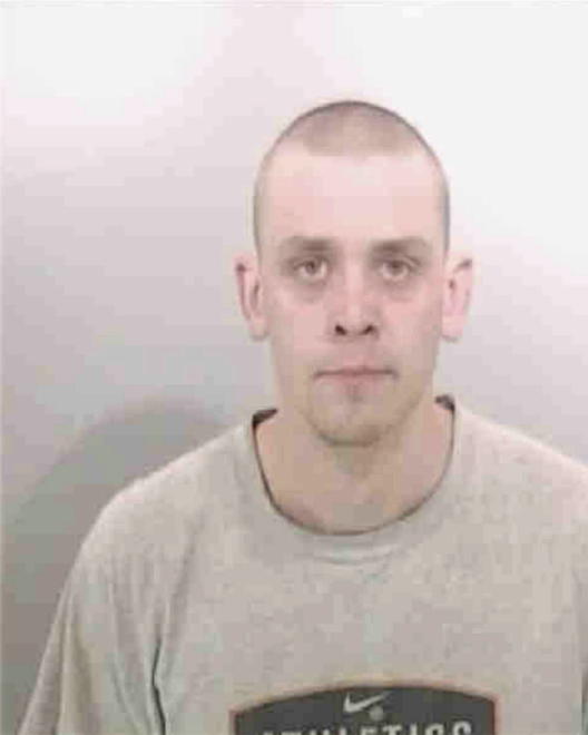 HERSEMANN, ANDREW LEE - Peoria County, IL