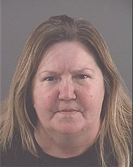 LESAGANICH, DIANA LYNN - Peoria County, IL