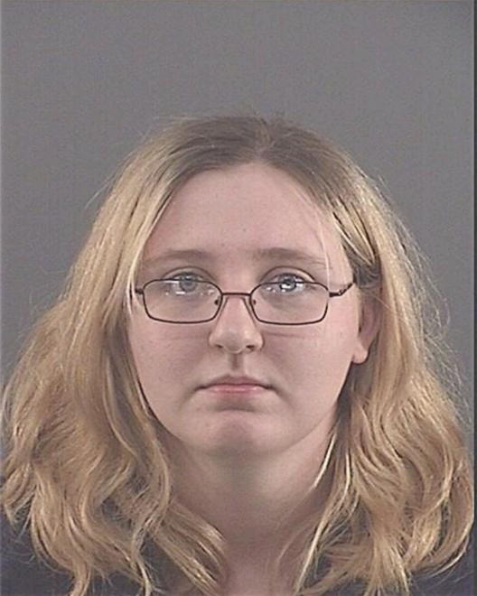 WEBSTER, DANIELLE I - Peoria County, IL