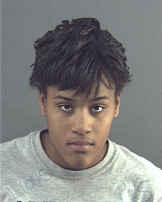 JOHNSON, TONYA - Peoria County, IL