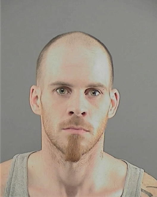 ROBERSON, BRANDON L - Peoria County, IL