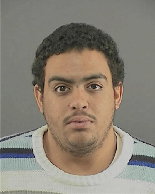 HARRIS, MICHAEL WAYNE - Peoria County, IL