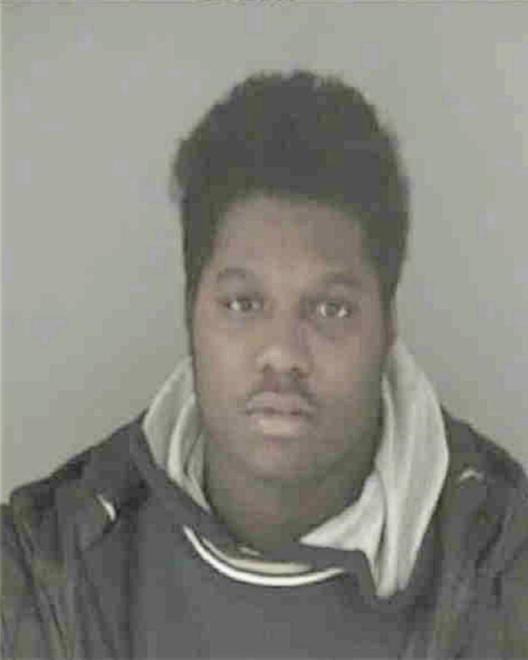 JOHNSON, RICKY LEE - Peoria County, IL