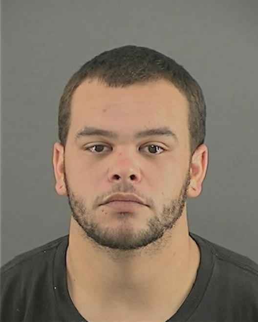 ROBINSON, BRANDON JOHN - Peoria County, IL