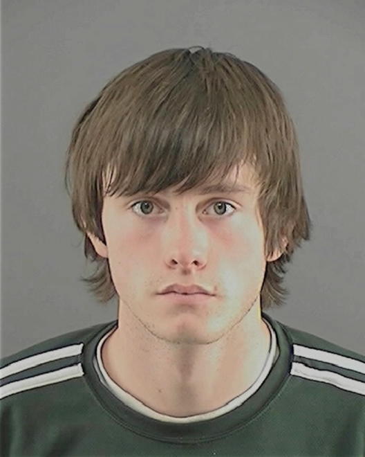 REGINALD, JOSHUA STEVEN - Peoria County, IL