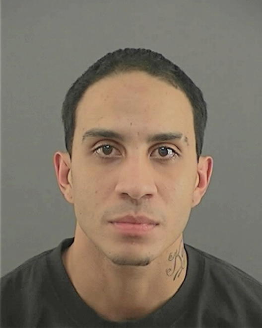 GARZA, CHRISTOPHER ORLANDO - Peoria County, IL