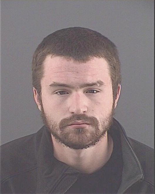 FREEMAN, TYLER G - Peoria County, IL
