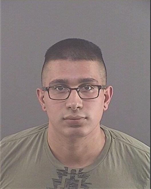 OCHOA, ANTHONY M - Peoria County, IL