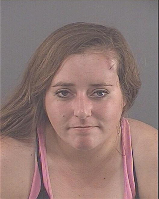 MCDERMAID, ERIKA L - Peoria County, IL