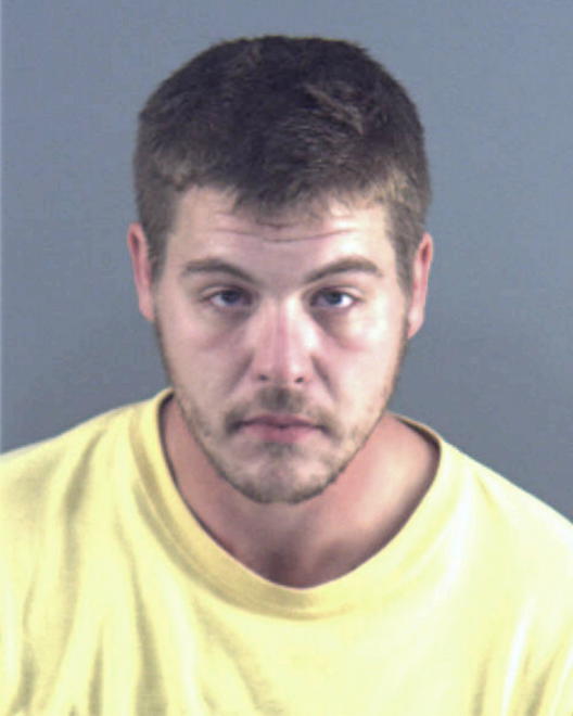 MCCALLISTER, JOHN DAVID - Peoria County, IL