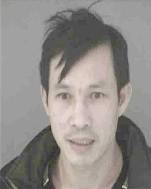 TRAN, MICHAEL V - Peoria County, IL