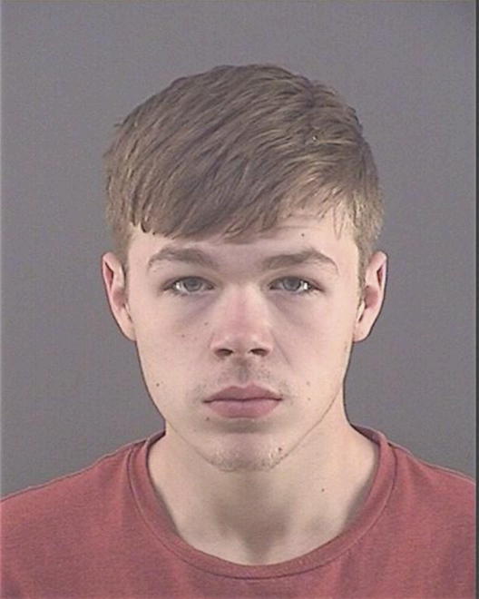 VANDEWIELE, JAMES J - Peoria County, IL