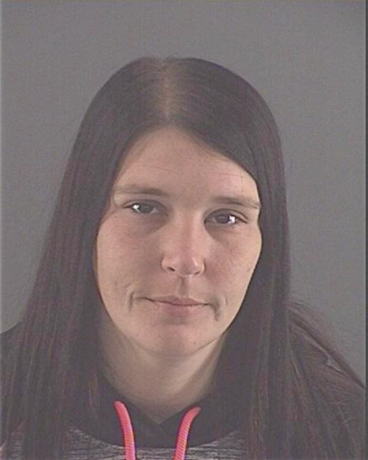 LASHBROOK, NICOLE LYN - Peoria County, IL