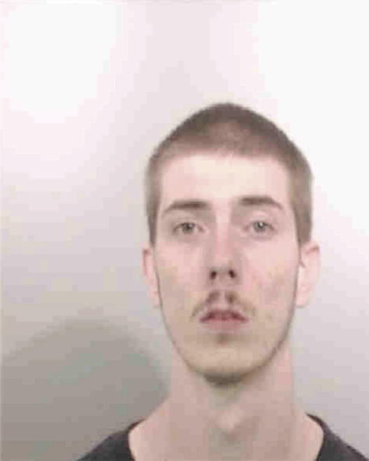 WIELAND, RYAN EDWARD - Peoria County, IL