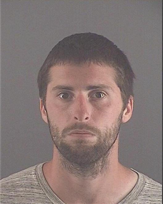 MARIANI, BLAKE E - Peoria County, IL