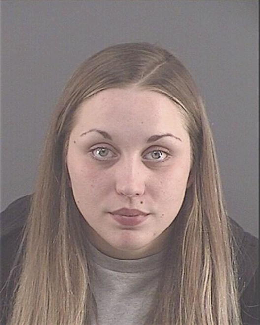 HORAN, MICHELLE NICOLE - Peoria County, IL