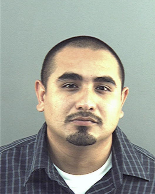 MEJIA, PIEDAD ROGER - Peoria County, IL