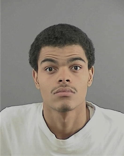 COLE, MICHAEL DAVID - Peoria County, IL