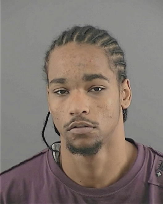 BARNES, BRYSON M - Peoria County, IL