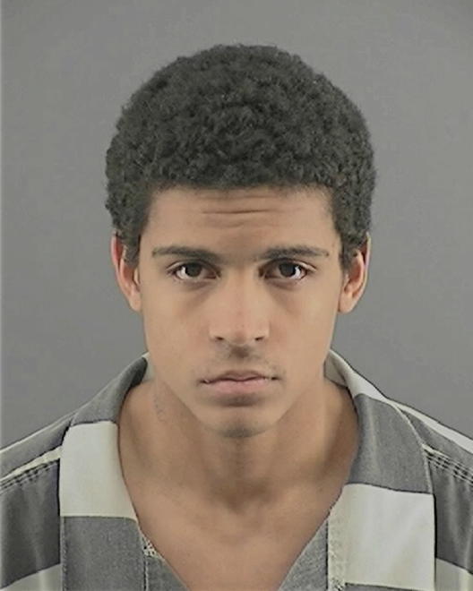 GRAY, DUSTIN ALBERT - Peoria County, IL