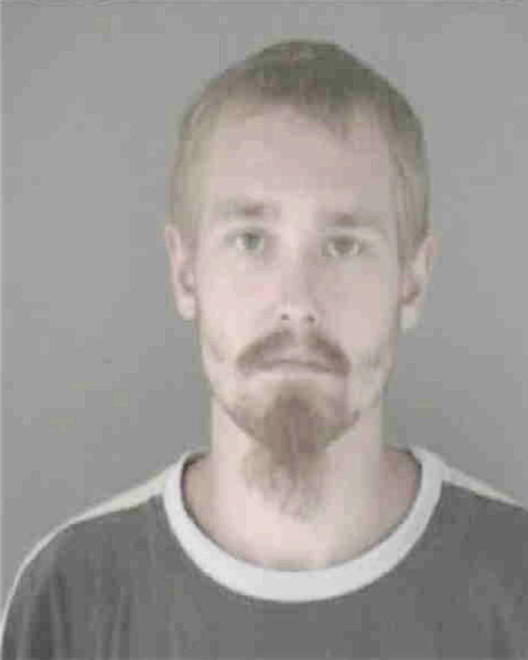 KRUL, DAVID SAMUEL - Peoria County, IL