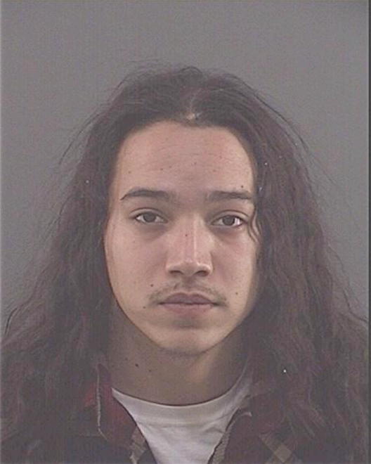 NGUYEN, TYLER L - Peoria County, IL