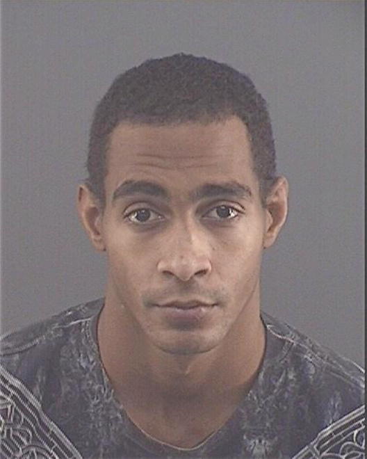 ANDERSON, BRANDON ALEXANDER - Peoria County, IL