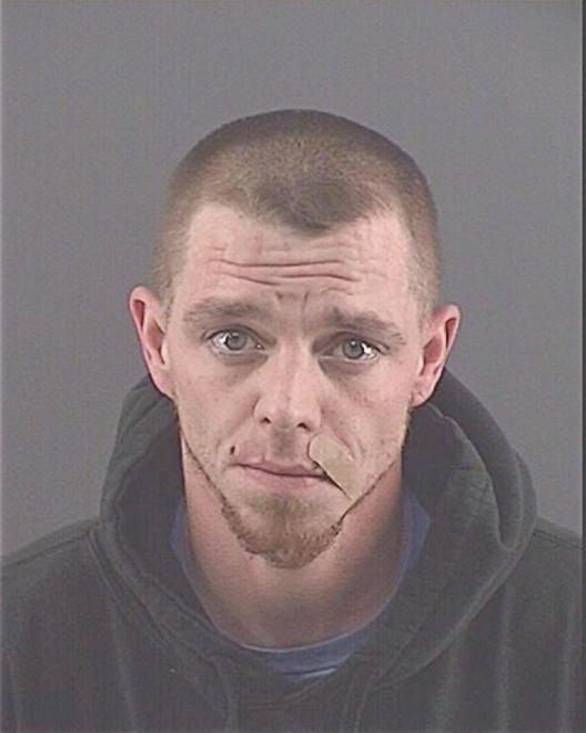 HALSTED, MICHAEL P - Peoria County, IL