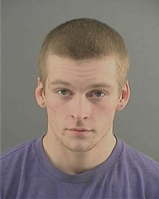 HANNEMAN, JARED J - Peoria County, IL