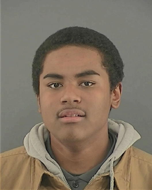 RANDLE, TEENIE SHAQUILLE - Peoria County, IL