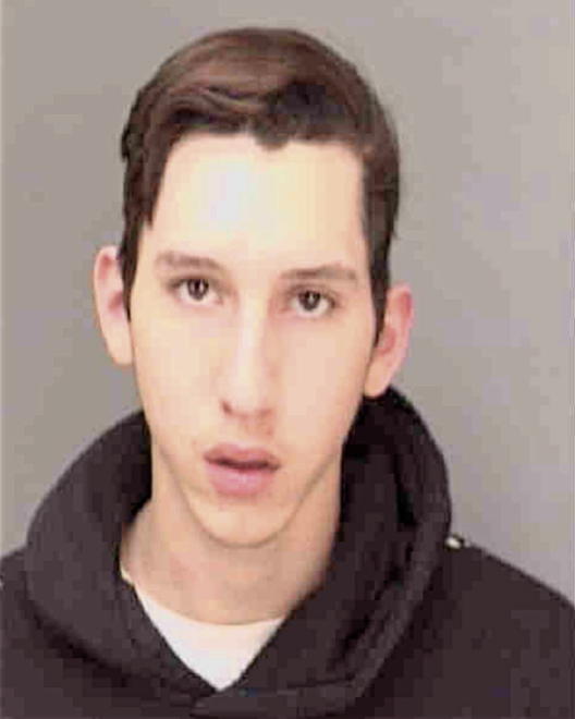 NEWSOME, JASON ALAN - Peoria County, IL