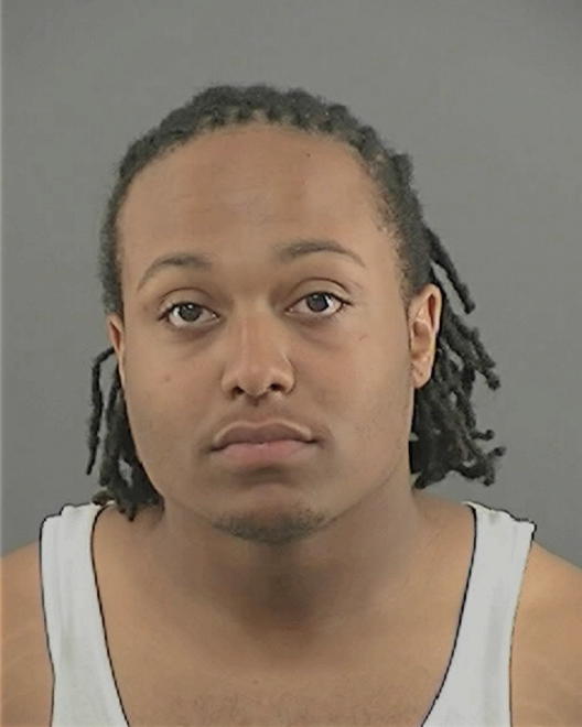 WILLIAMS, KYLE TAYLOR - Peoria County, IL