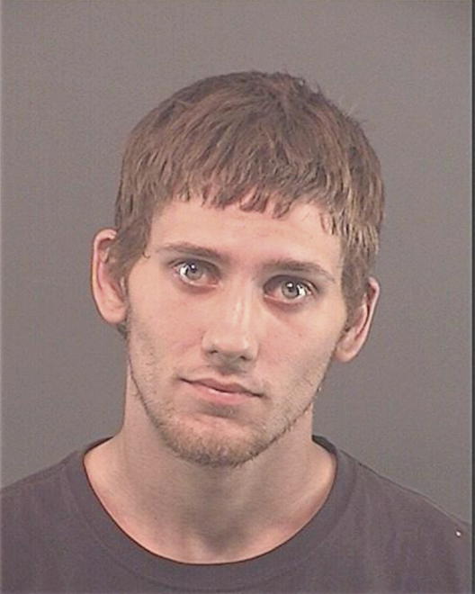 DEWEESE, TREVOR - Peoria County, IL